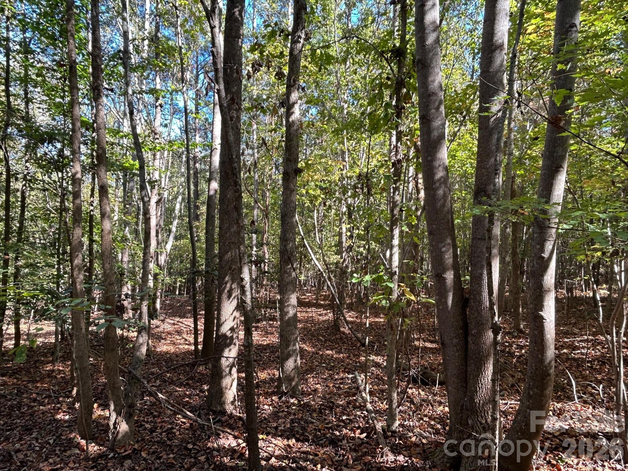 5-ac Lot 3 5-ac Road Richburg, SC 29729 - Photo 22 of 42