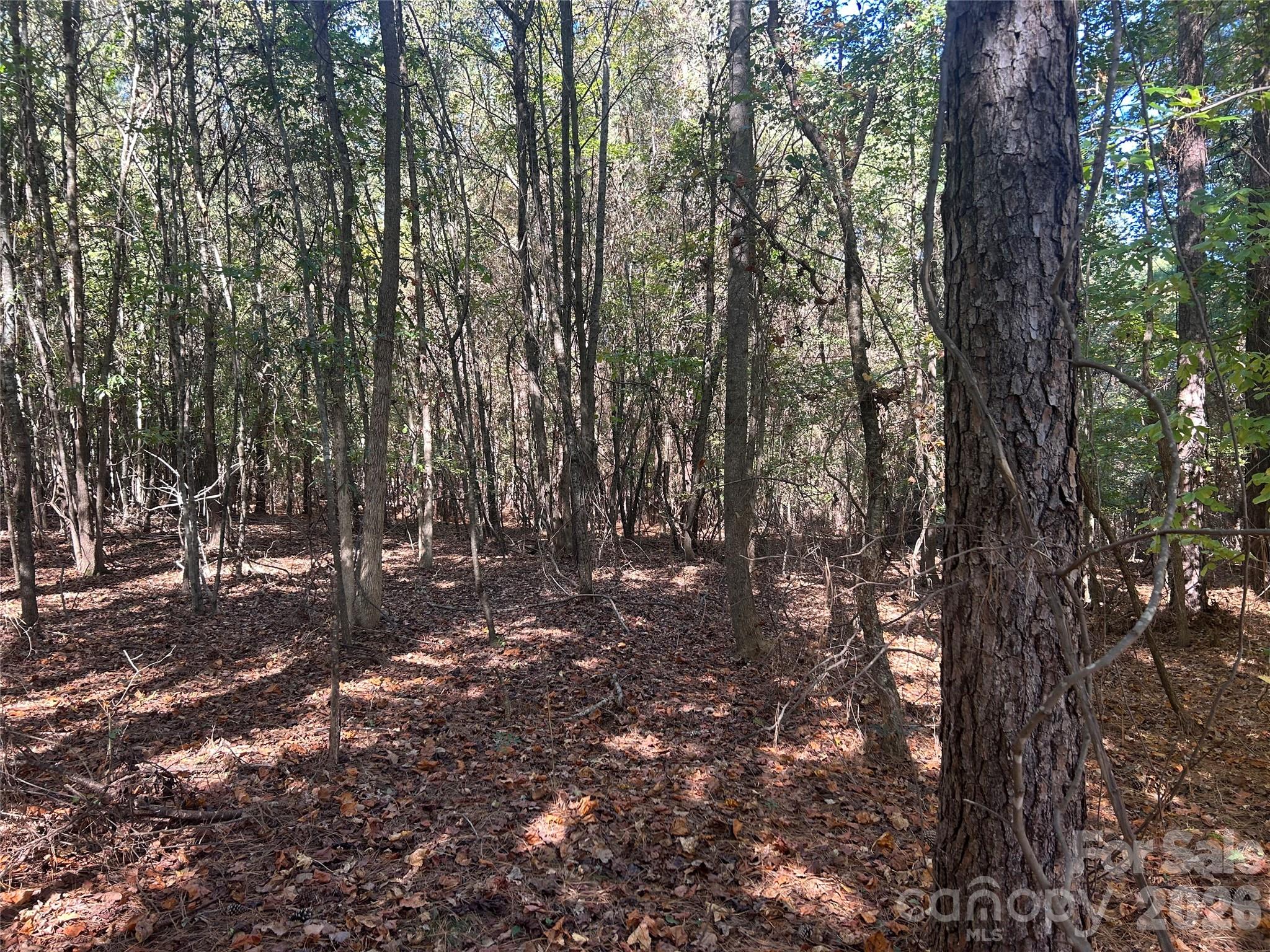 5-ac Lot 3 5-ac Road Richburg, SC 29729 - Photo 3 of 42