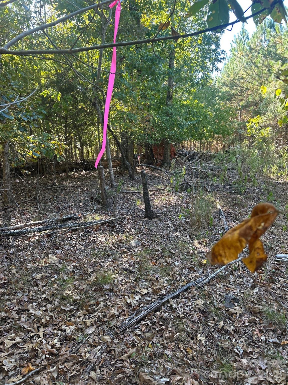 5-ac Lot 3 5-ac Road Richburg, SC 29729 - Photo 38 of 42 a view of a park with a slide