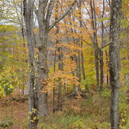 $3,950 | 64 Big Bear Hill Road, New Milford, CT 06776