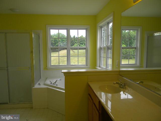 10006 Paxton Road Randallstown, MD 21133 - Photo 14 of 19 Bath (Master)