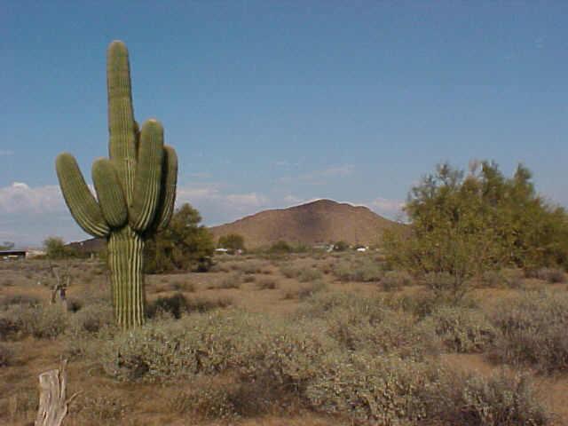 0 West Briles Road Surprise, AZ 85387 - Photo 1 of 1 Primary Photo