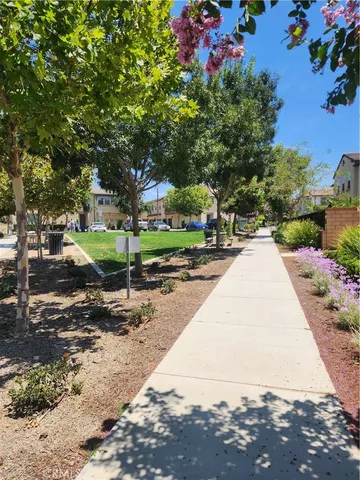 a park view with large trees