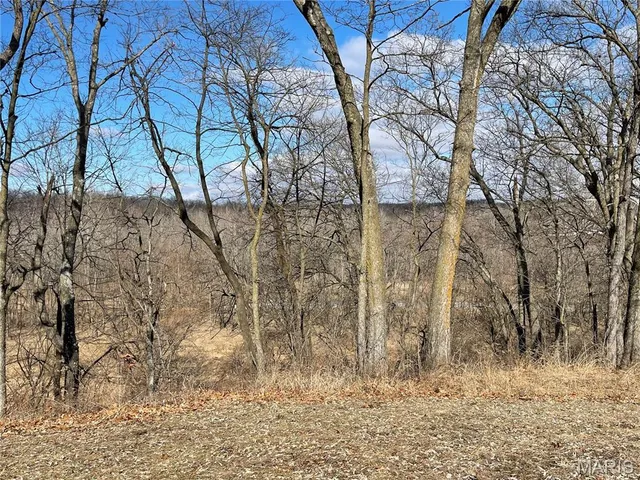 $699,900 | 29100 Monroe Road 436, Paris, MO 65275