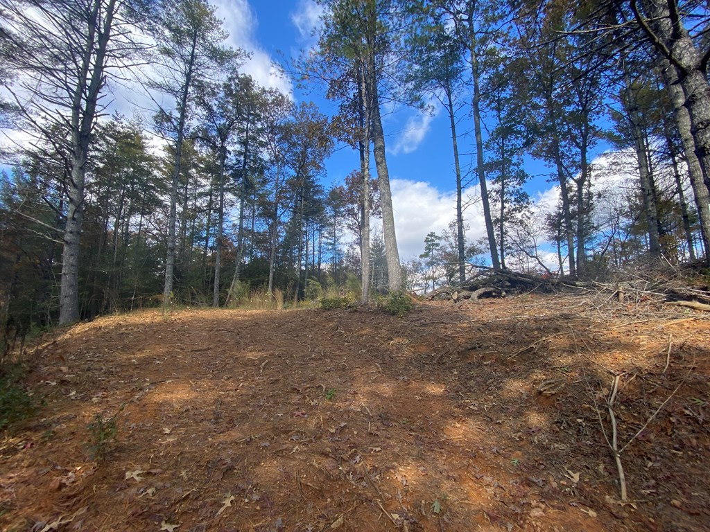 Lot 72 Rainy Farm Road Murphy, NC 28906 - Photo 2 of 17