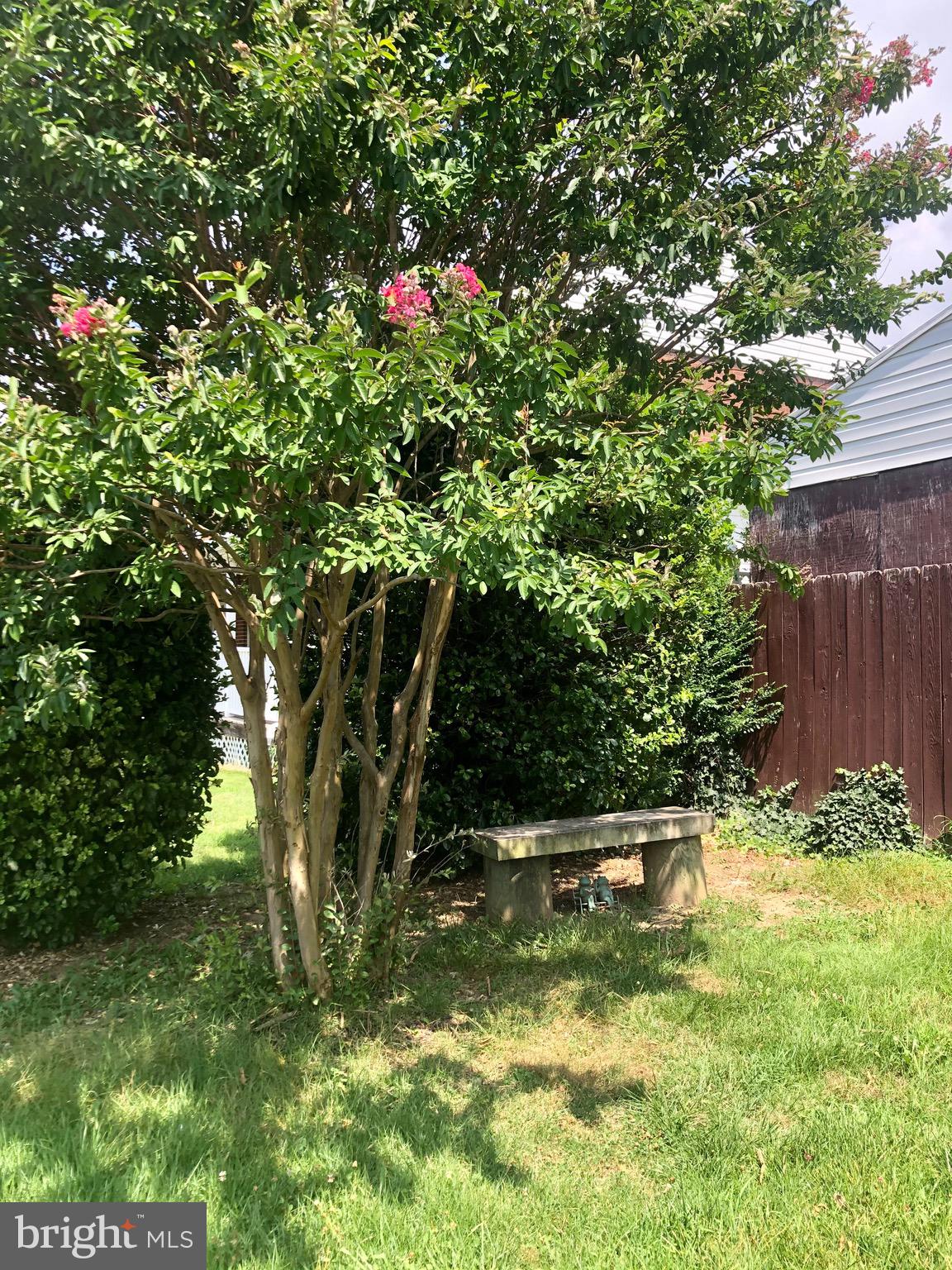 8222 North Boundary Road Baltimore, MD 21222 - Photo 4 of 24