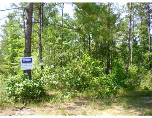 80 Acres Loop Road McLain, MS 39456 - Photo 2 of 4 Additional Photo