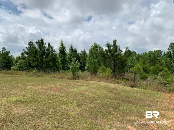 $110,000 | 43 Highway 43, Grove Hill, AL 36451
