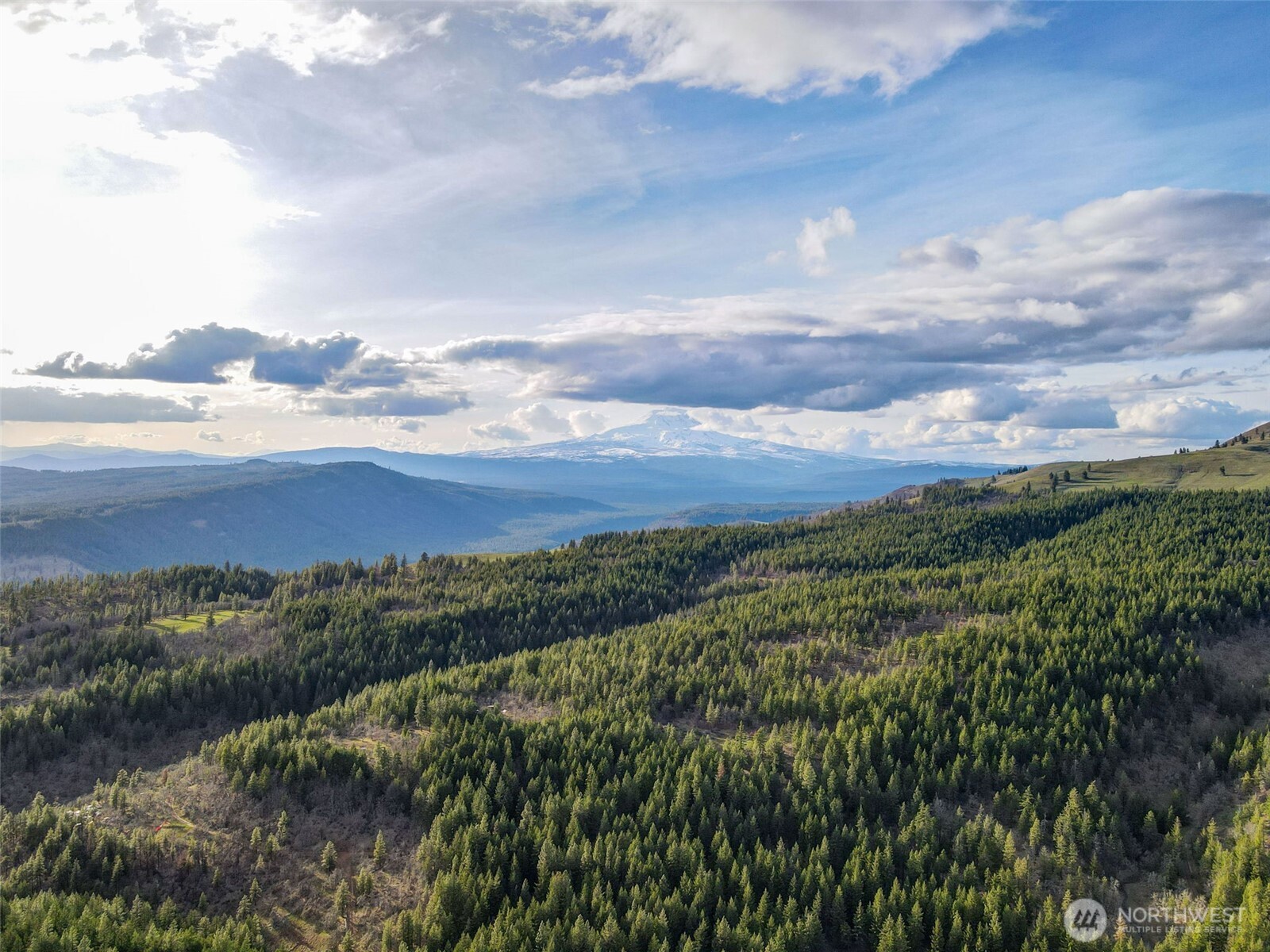 a view of a city with lush green forest