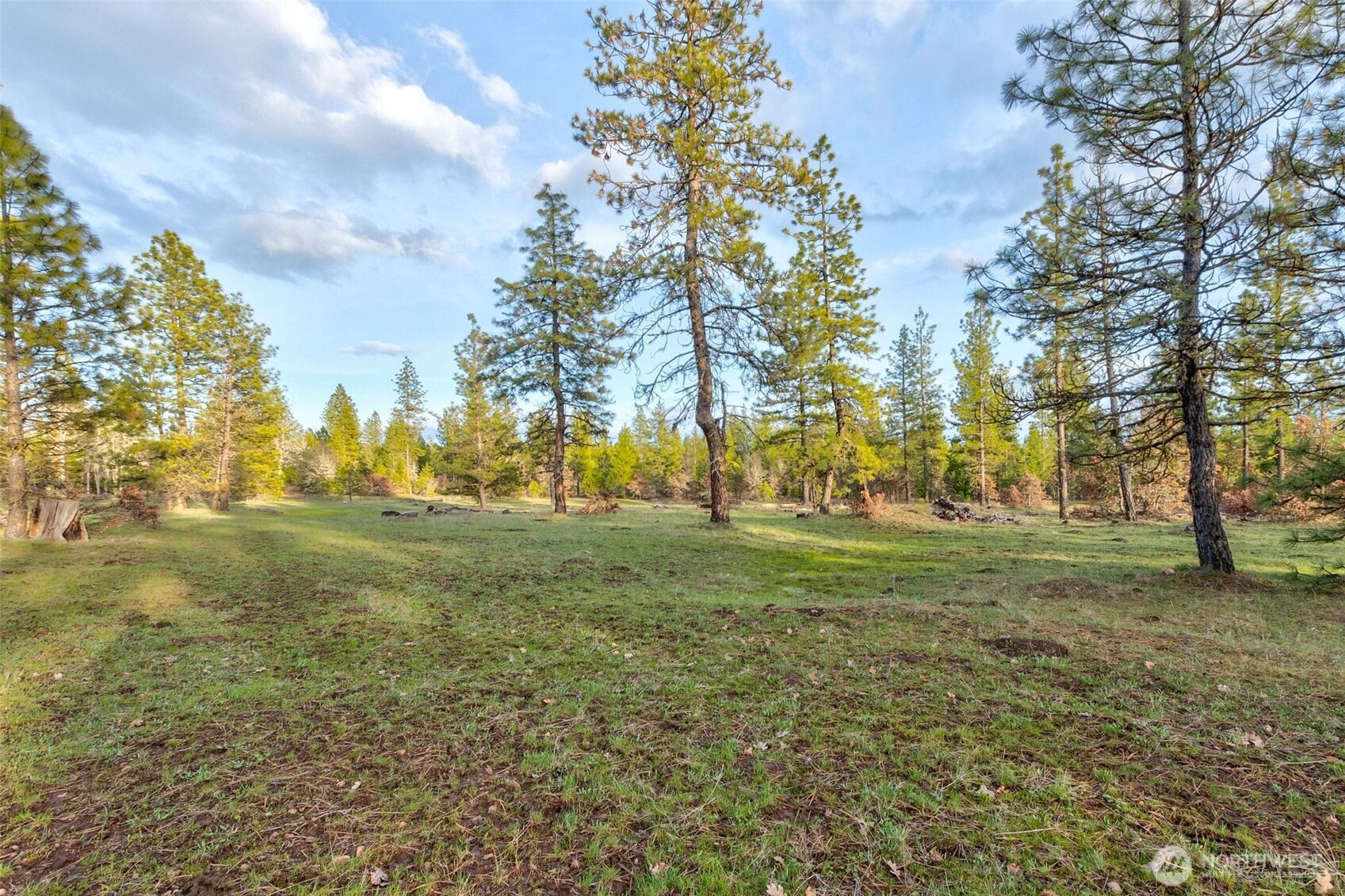 7 Greyback Mountain Road Goldendale, WA 98620 - Photo 4 of 4 a view of grassy field with trees