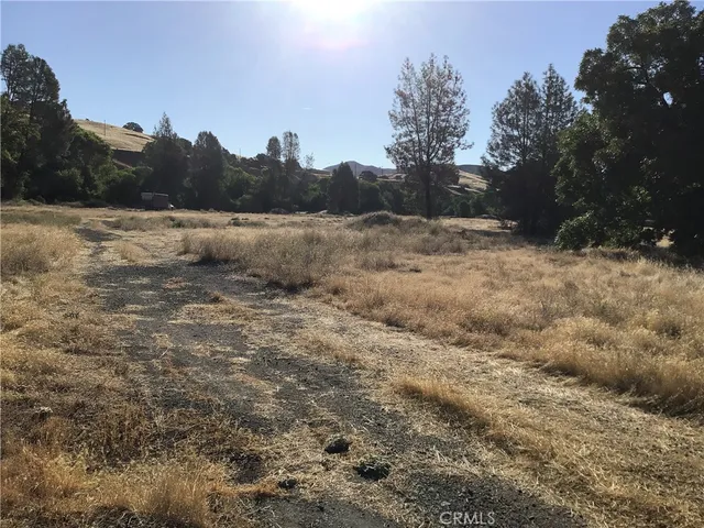 a view of a field with trees in the background