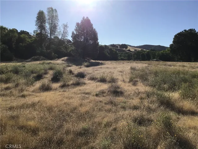 a view of a dry yard with trees in the background