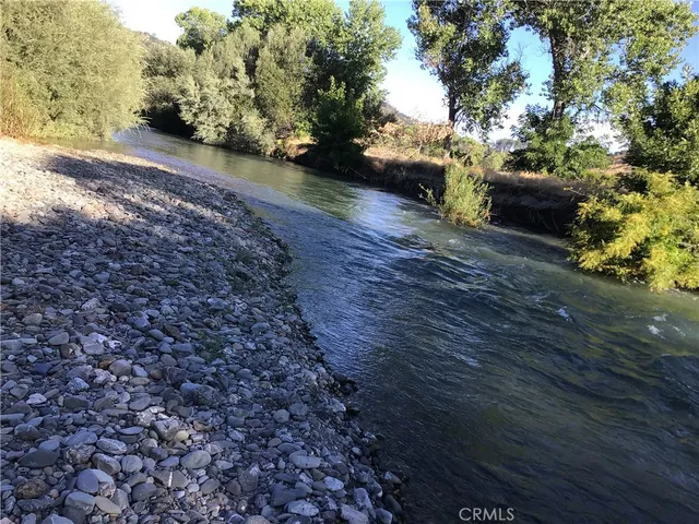 a view of a yard with plants and trees