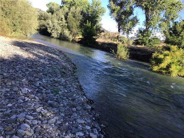 a view of a yard with plants and trees