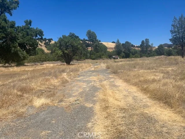 a view of a yard with a tree