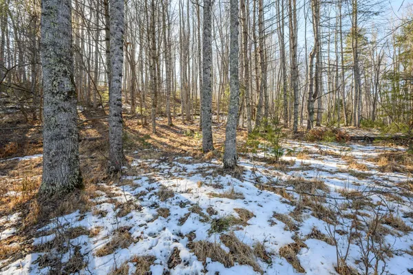 $599,900 | 183 Willow Brook Lane Northeast, Pilot, VA 24138