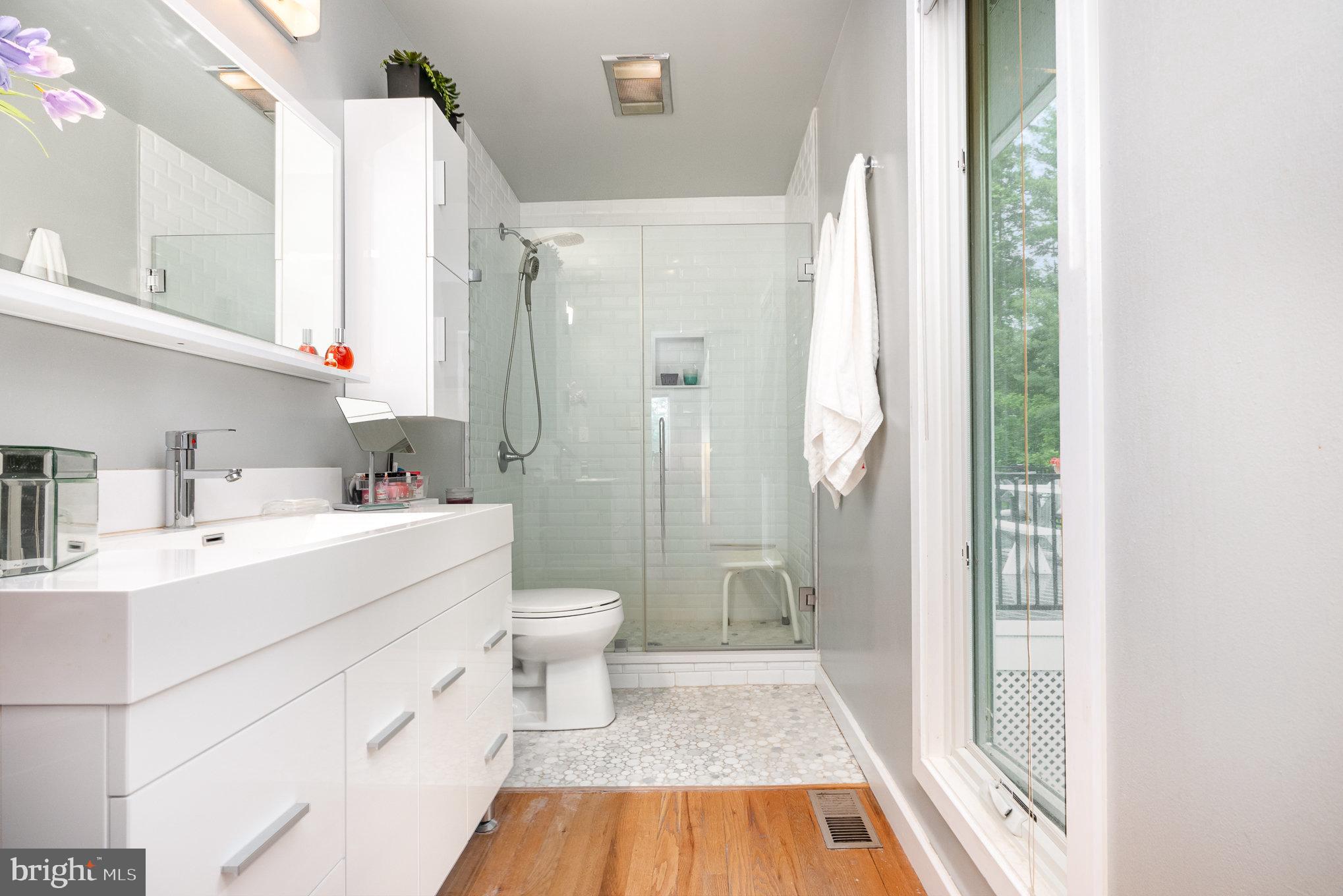 16222 Hampton Road Hamilton, VA 20158 - Photo 16 of 35 a bathroom with a sink a toilet and a shower