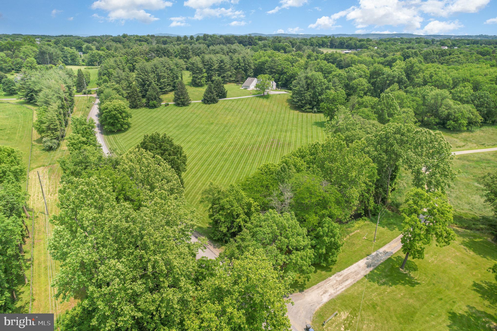 16222 Hampton Road Hamilton, VA 20158 - Photo 2 of 35 a view of a bunch of trees and bushes