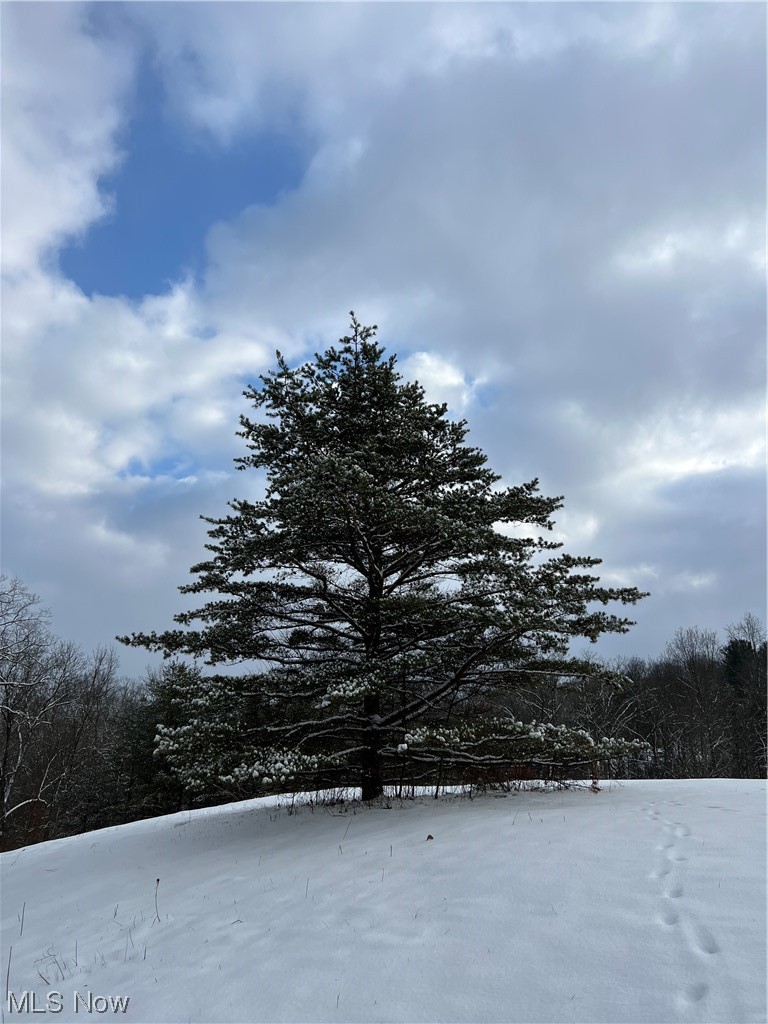 0 Dugan Road Belpre, OH 45714 - Photo 9 of 9