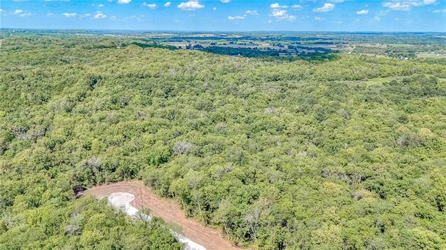 $129,900 | Lot 17 Deer View Estates Road, Holden, MO 64040