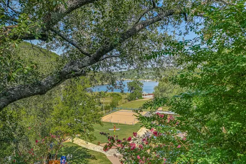 a view of a lake with a tree