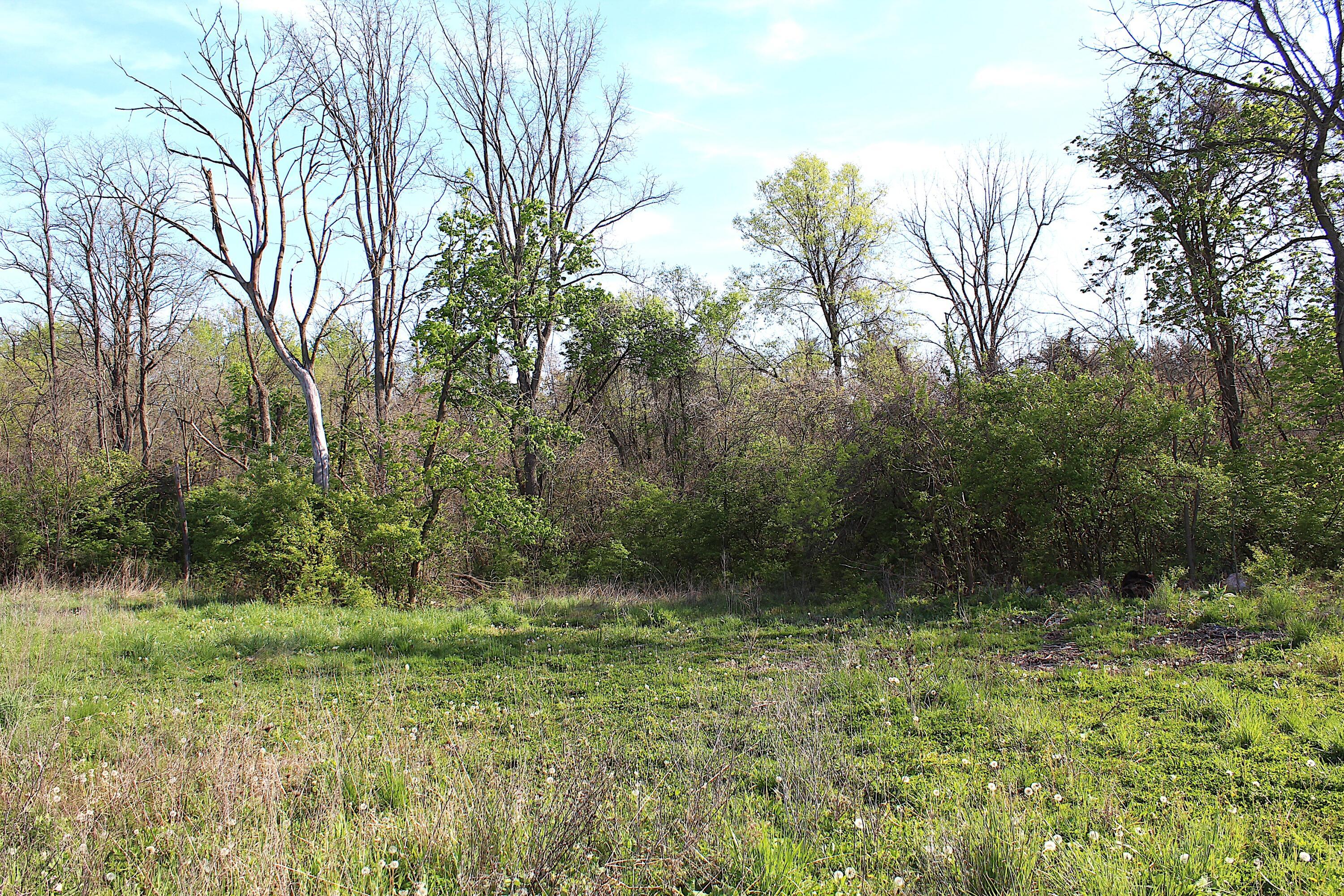 7663 Dublin Road Delaware, OH 43015 - Photo 22 of 33 IMG_6638