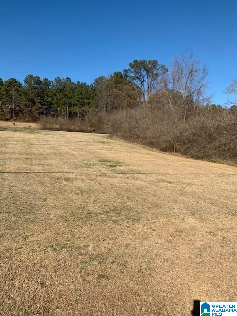 0 Highway 11 Springville Al, Unit 1 Springville, AL 35146 - Photo 1 of 5