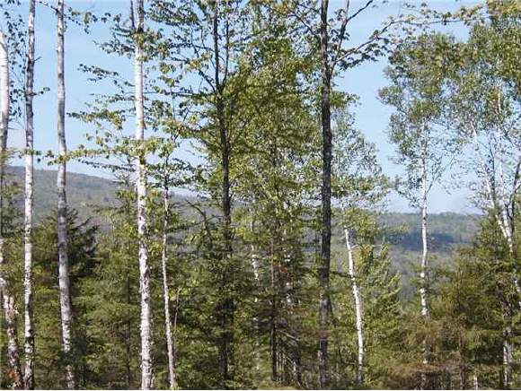 13 Franconia Mountains Road Franconia, NH 03580 - Photo 1 of 1