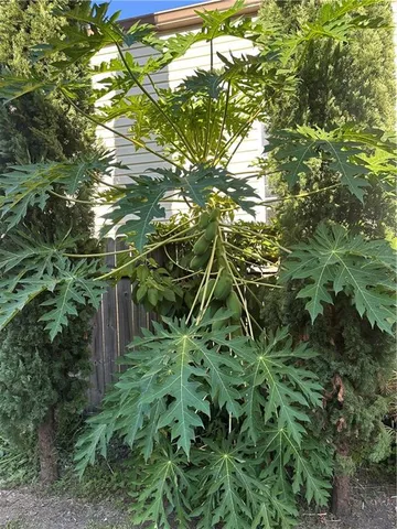 $2,000 | 2301 Washington Avenue, New Orleans, LA 70113