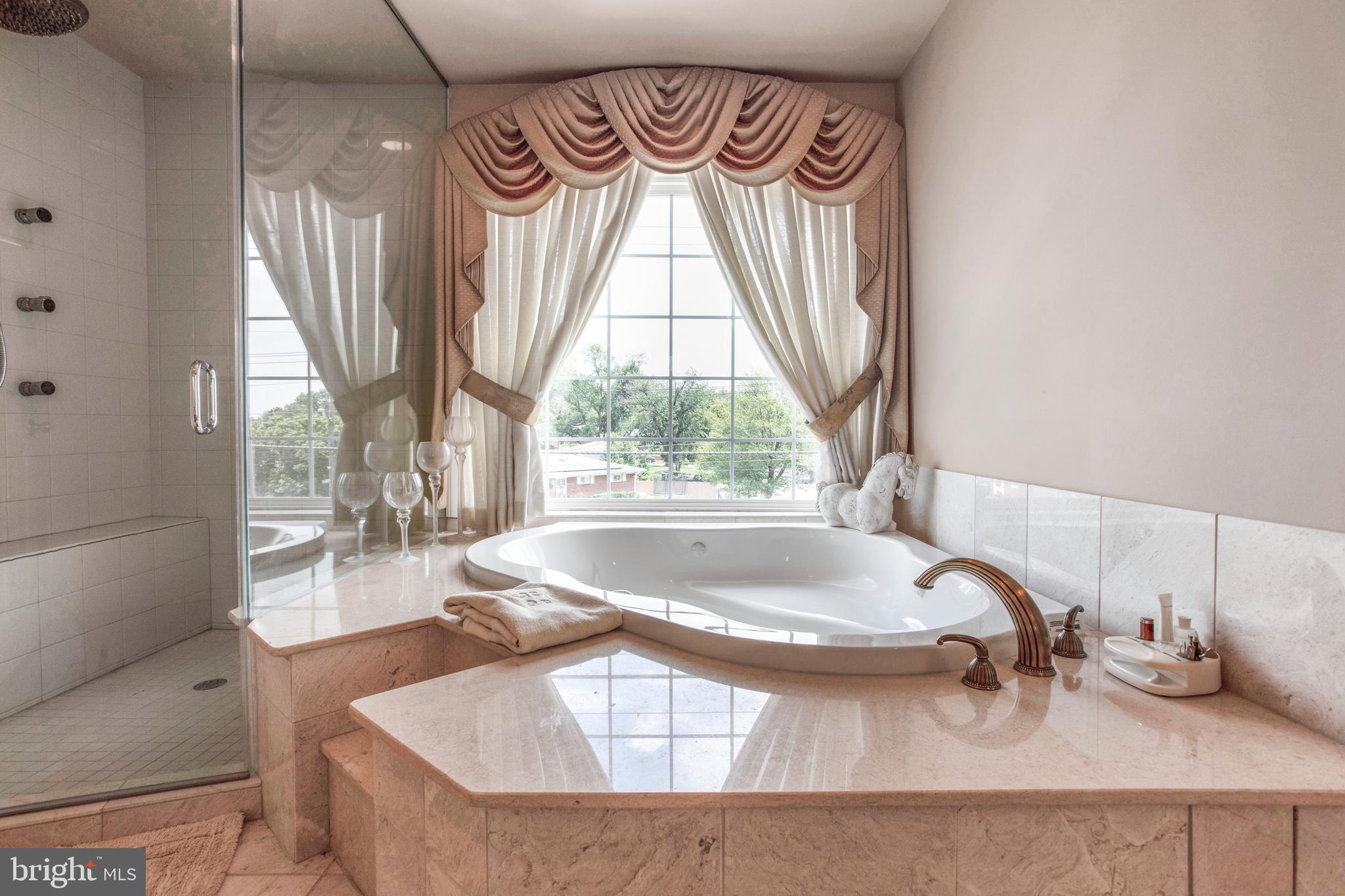 6012 Riggs Road Hyattsville, MD 20783 - Photo 70 of 98 Penthouse Suite Bathroom