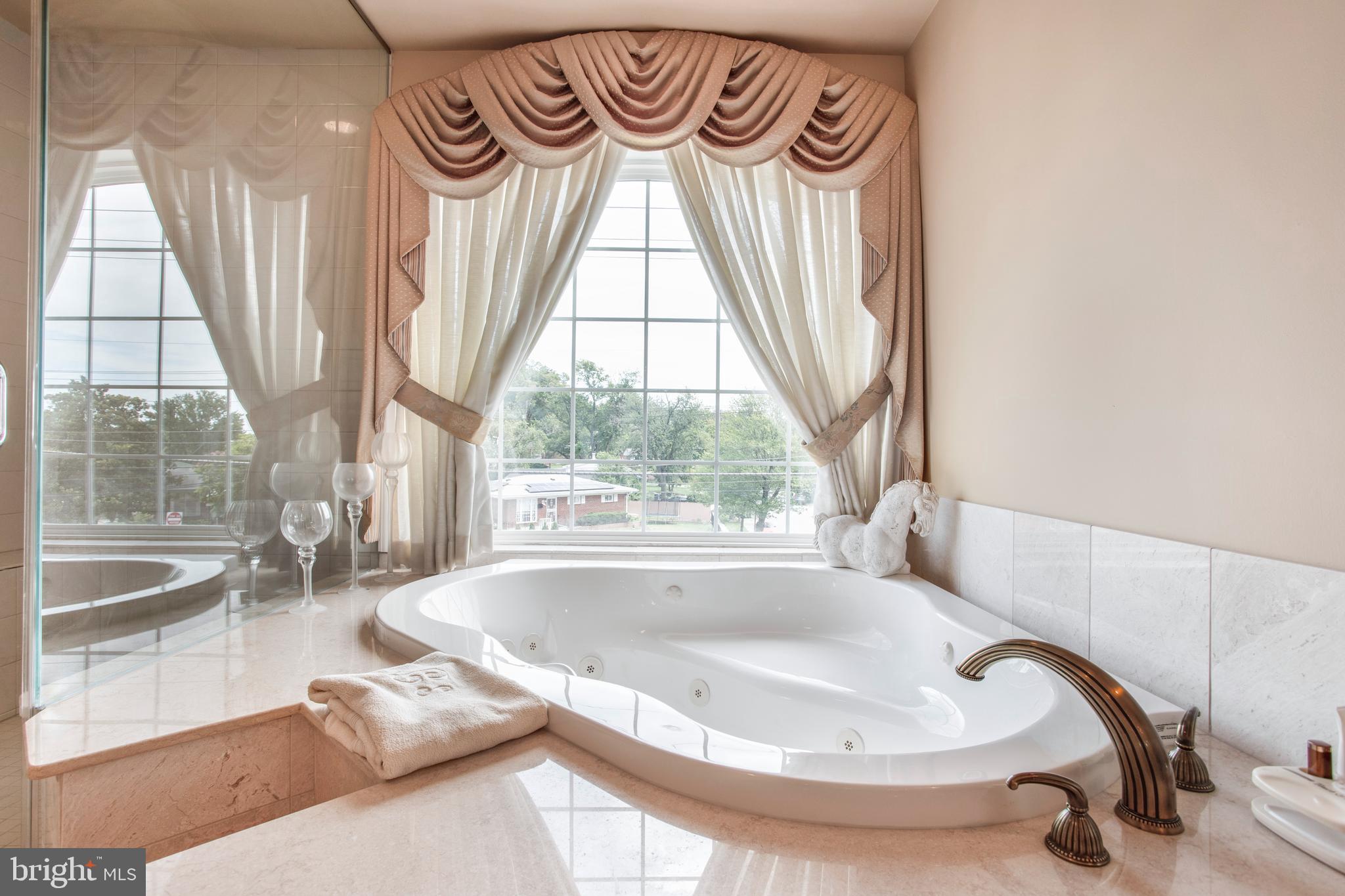 6012 Riggs Road Hyattsville, MD 20783 - Photo 72 of 98 Penthouse Suite Bathroom