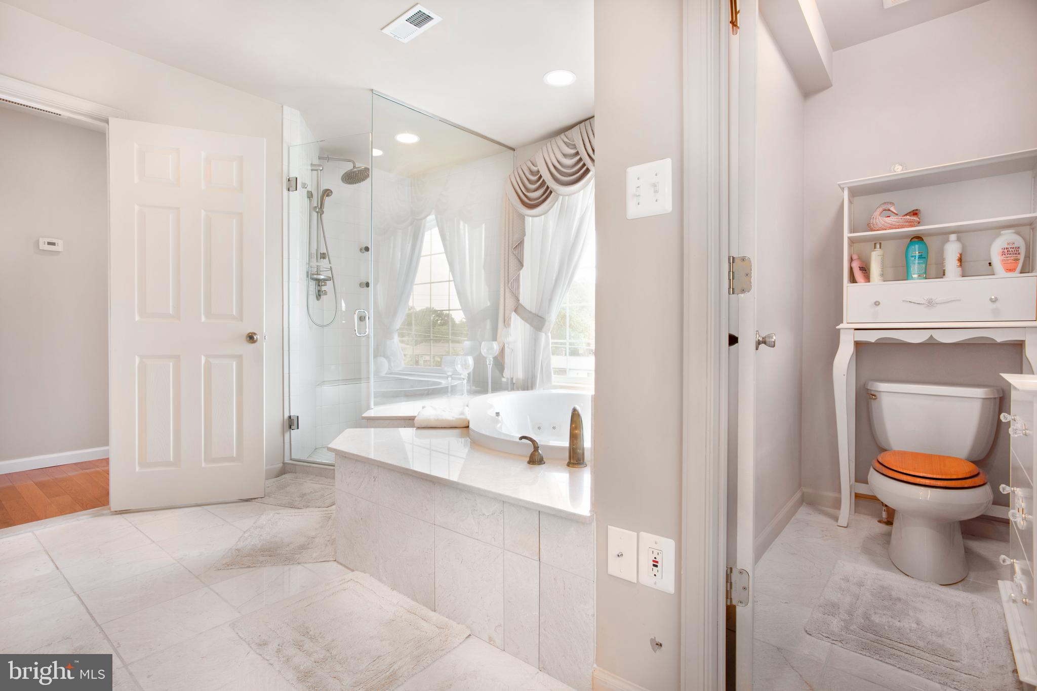 6012 Riggs Road Hyattsville, MD 20783 - Photo 74 of 98 Penthouse Suite Bathroom