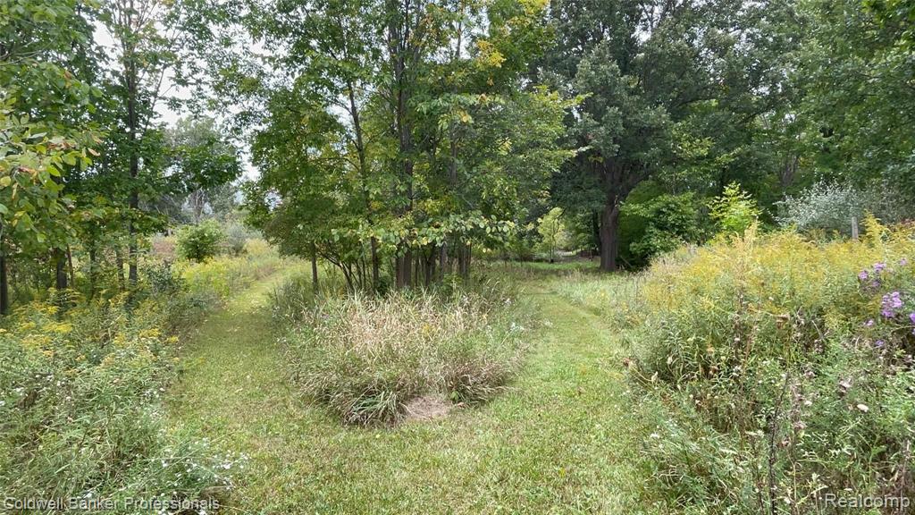 2947 Parmenter Road Corunna, MI 48817 - Photo 45 of 51