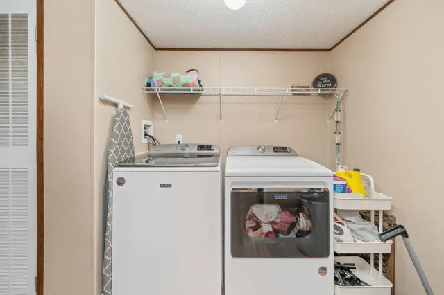 a view of a garden with a slide