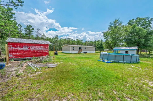 a view of a backyard with plants and large tree