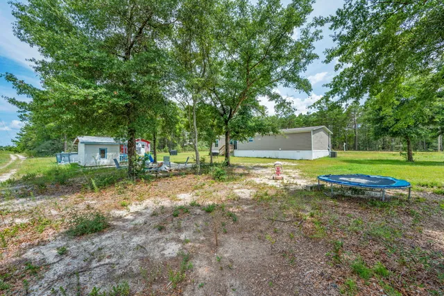 a view of a tree in a park