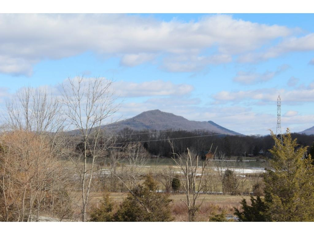 955 Ross County Road Greeneville, TN 37745 - Photo 17 of 36 Photo 17