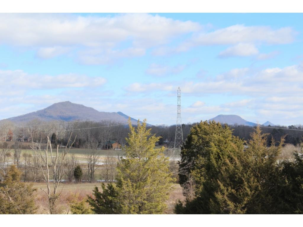 955 Ross County Road Greeneville, TN 37745 - Photo 18 of 36 Photo 18