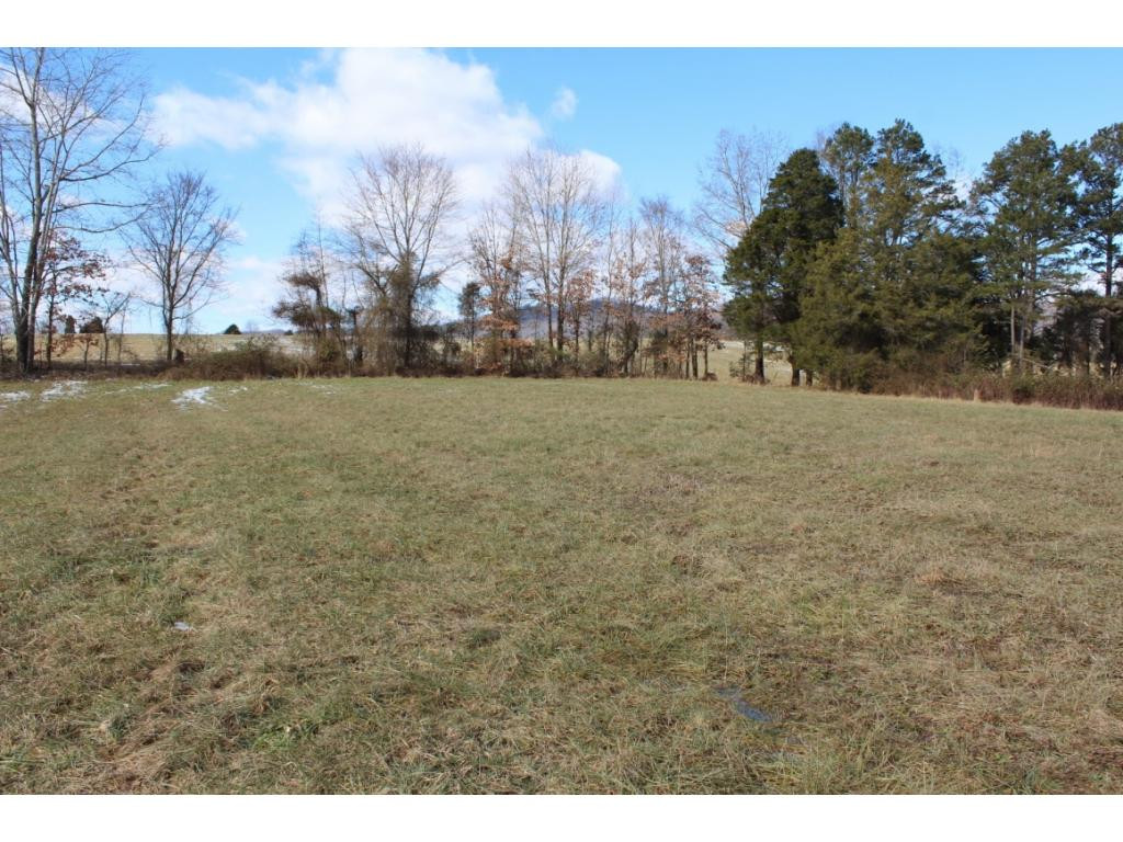 955 Ross County Road Greeneville, TN 37745 - Photo 20 of 36 Photo 20