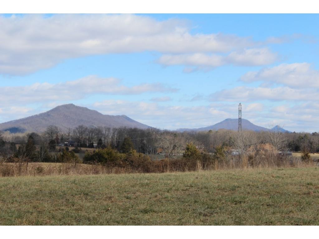 955 Ross County Road Greeneville, TN 37745 - Photo 24 of 36 Photo 24