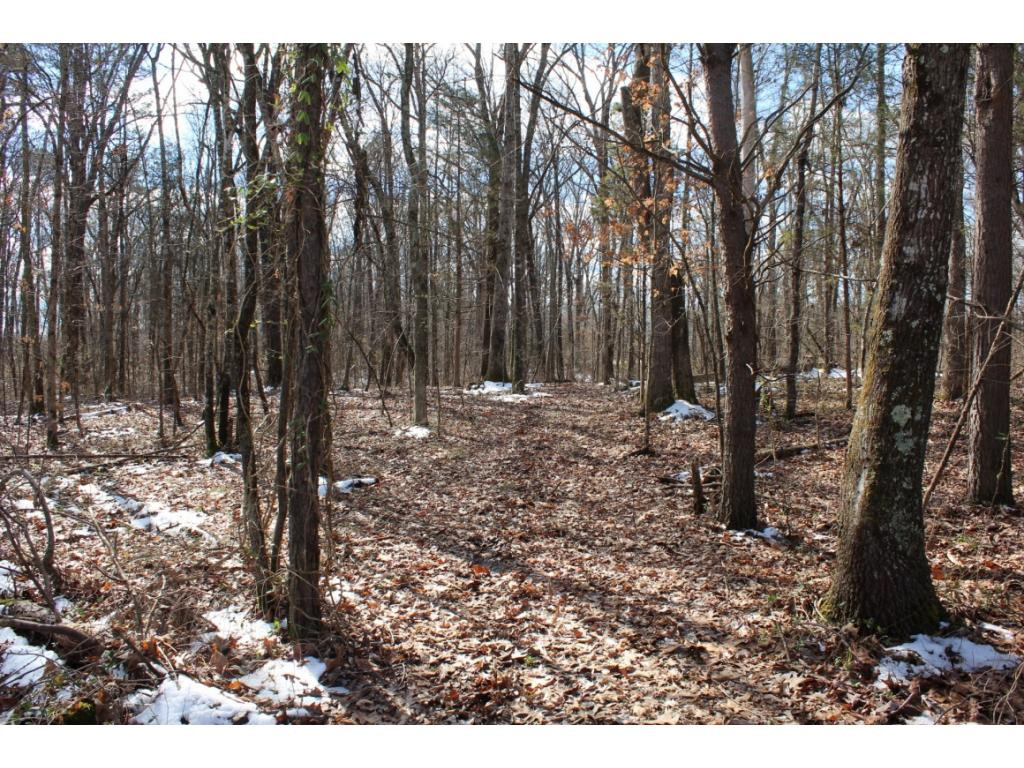 955 Ross County Road Greeneville, TN 37745 - Photo 25 of 36 Photo 25