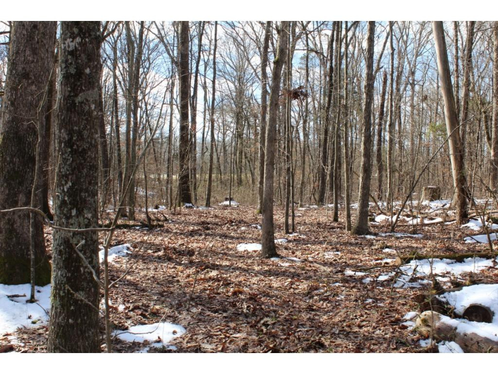 955 Ross County Road Greeneville, TN 37745 - Photo 26 of 36 Photo 26