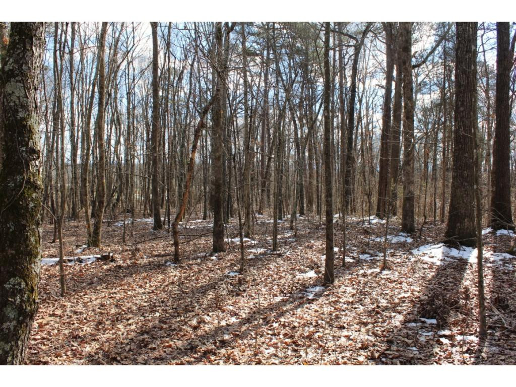955 Ross County Road Greeneville, TN 37745 - Photo 27 of 36 Photo 27