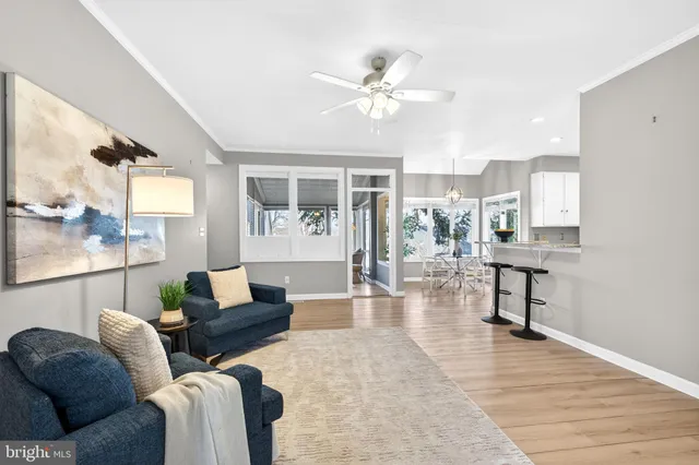 a living room with furniture potted plant and windows