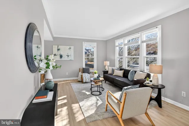 a living room with furniture a potted plant and a large window
