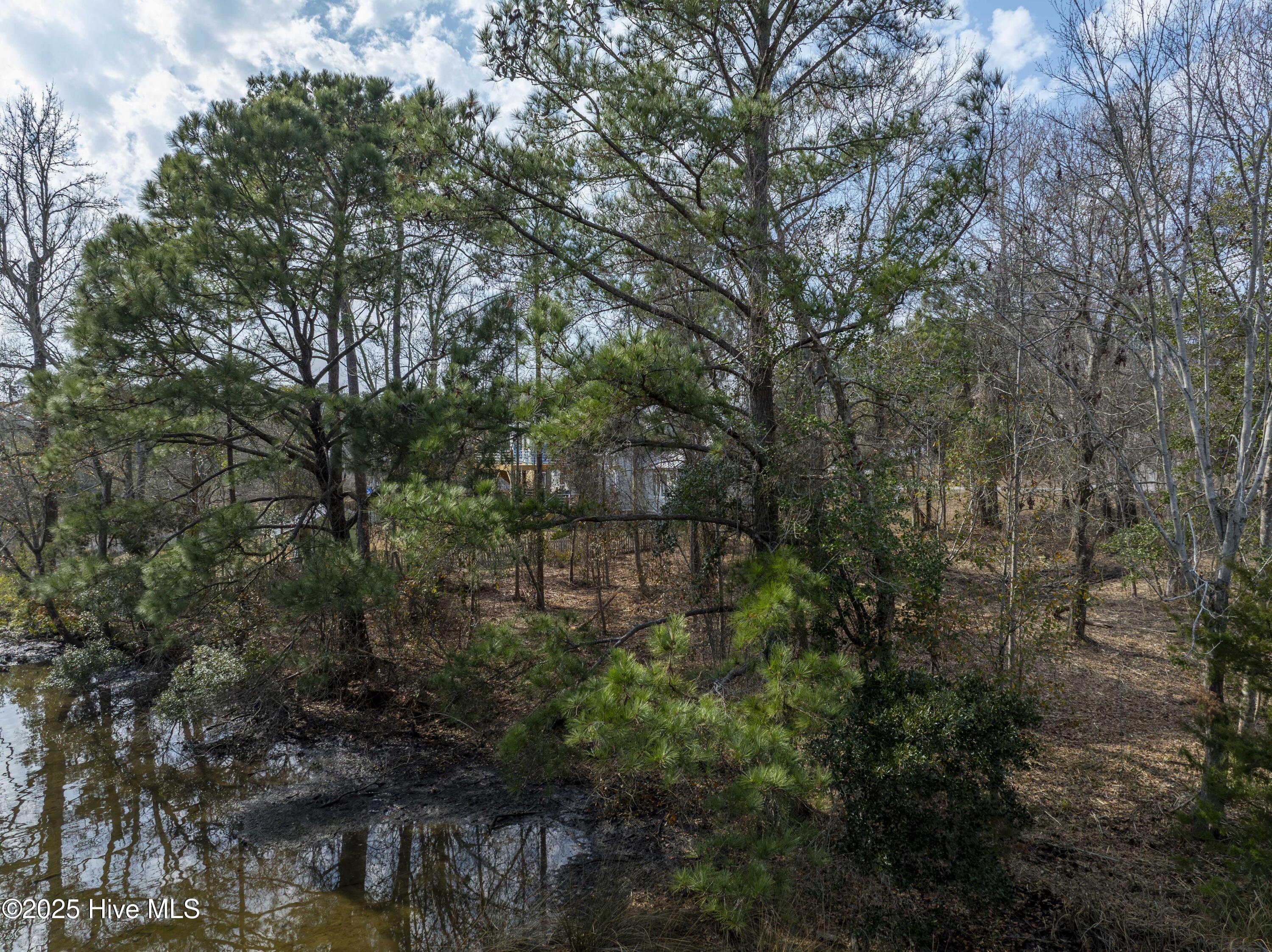 635 Riva Ridge Road Sneads Ferry, NC 28460 - Photo 9 of 12 635 Riva Ridge - redo - Aerials - Edited