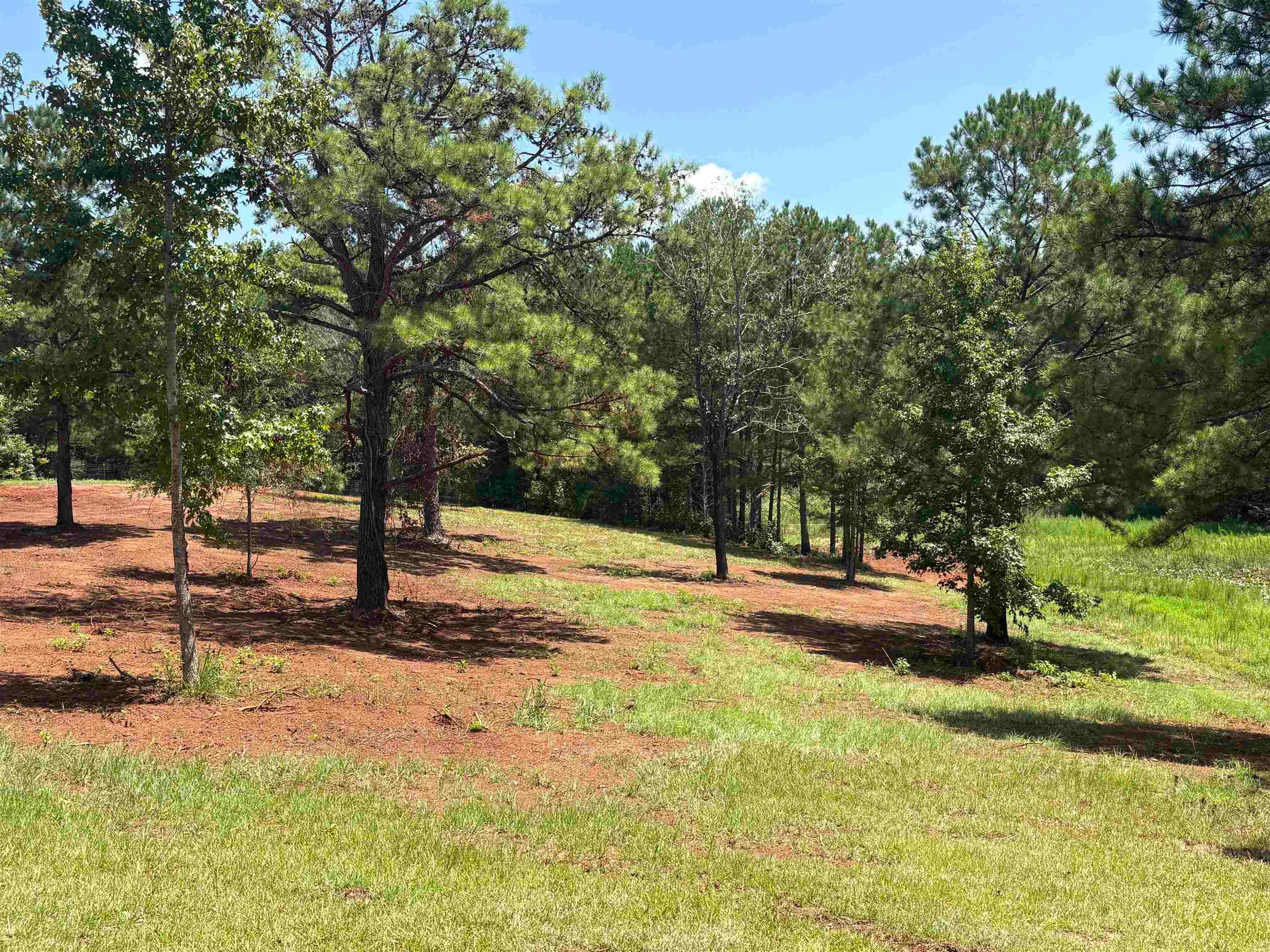 3875 North Mt Zion Road Honoraville, AL 36042 - Photo 9 of 14 Gallery Image 9