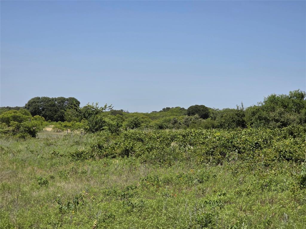 1000 County Road 375 Rising Star, TX 76471 - Photo 31 of 40