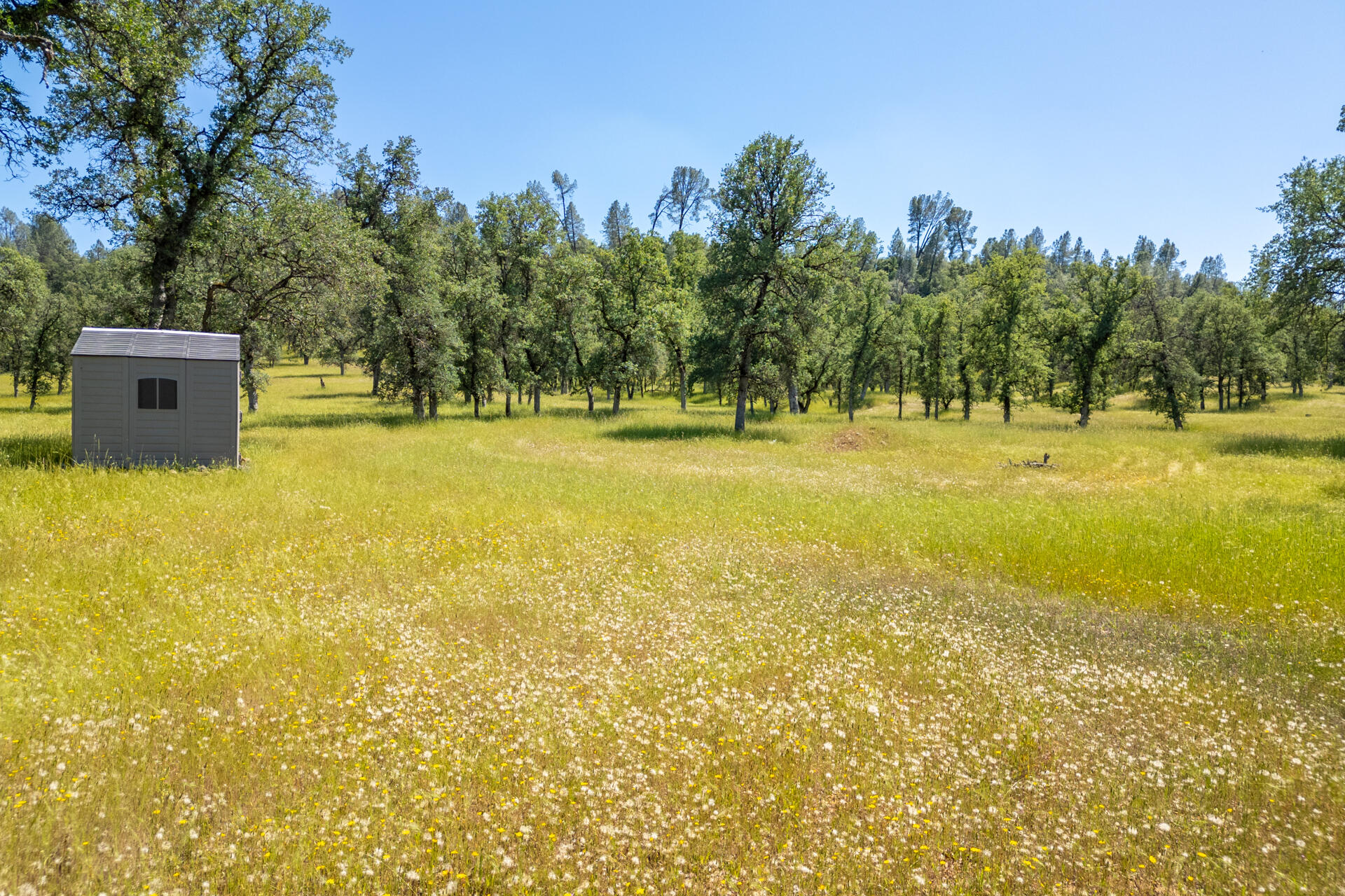 0 Racoon Way Oak Run, CA 96069 - Photo 12 of 39 Racoon013
