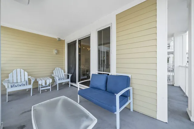 a view of a flower in a garden